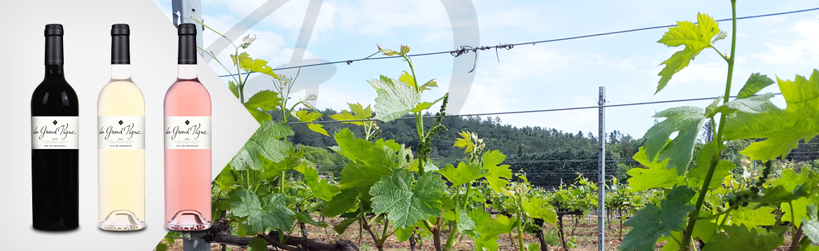 La Grand’Vigne