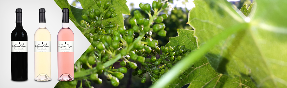 La Grand’Vigne